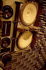 The central array
